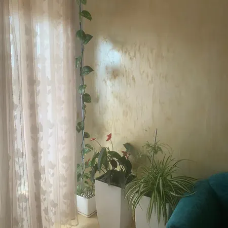 Guest House Fier Апартаменты